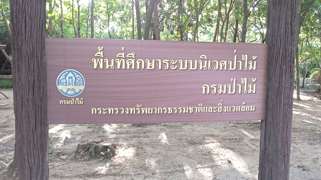 20171129_074619.jpg