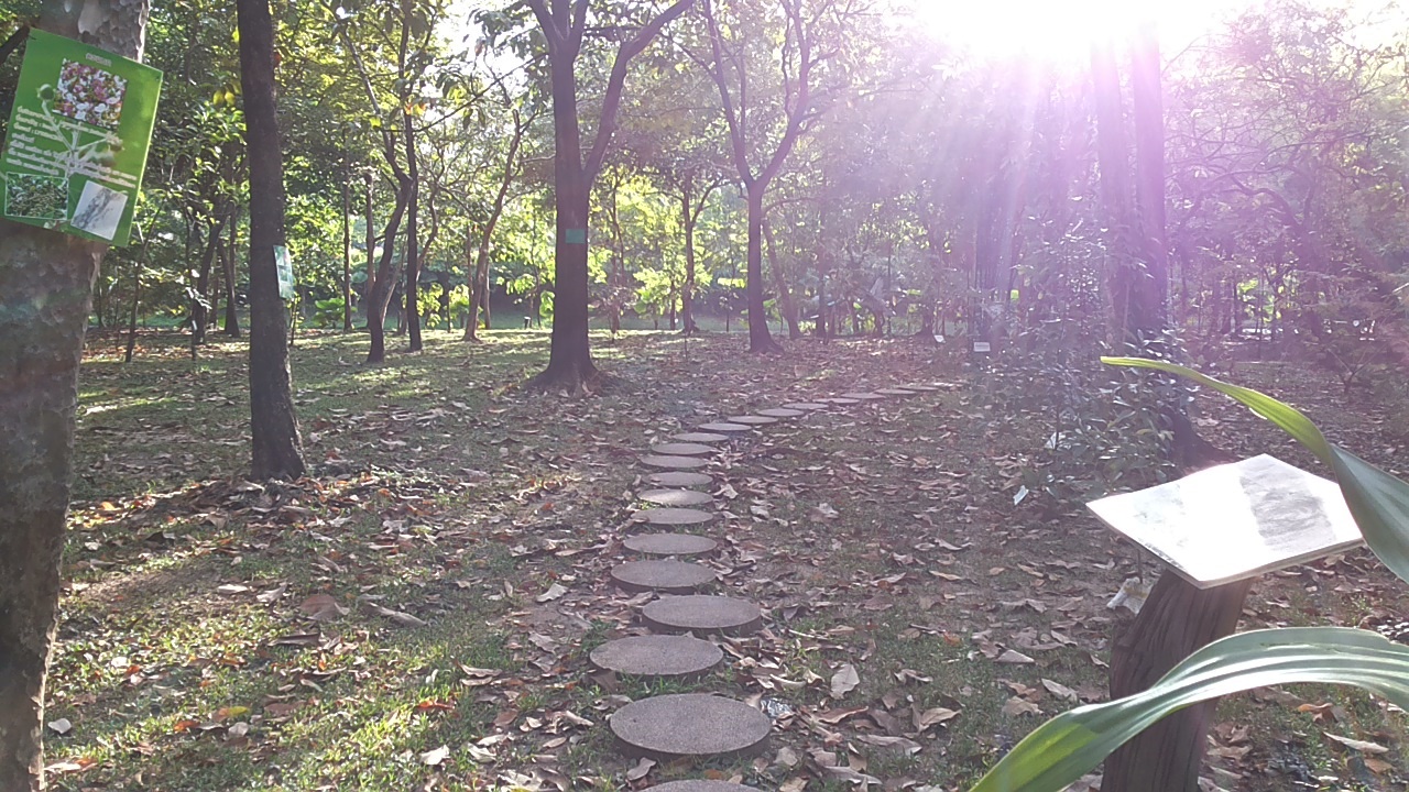 20171129_075055.jpg