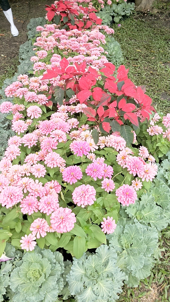 20171205_094255.jpg
