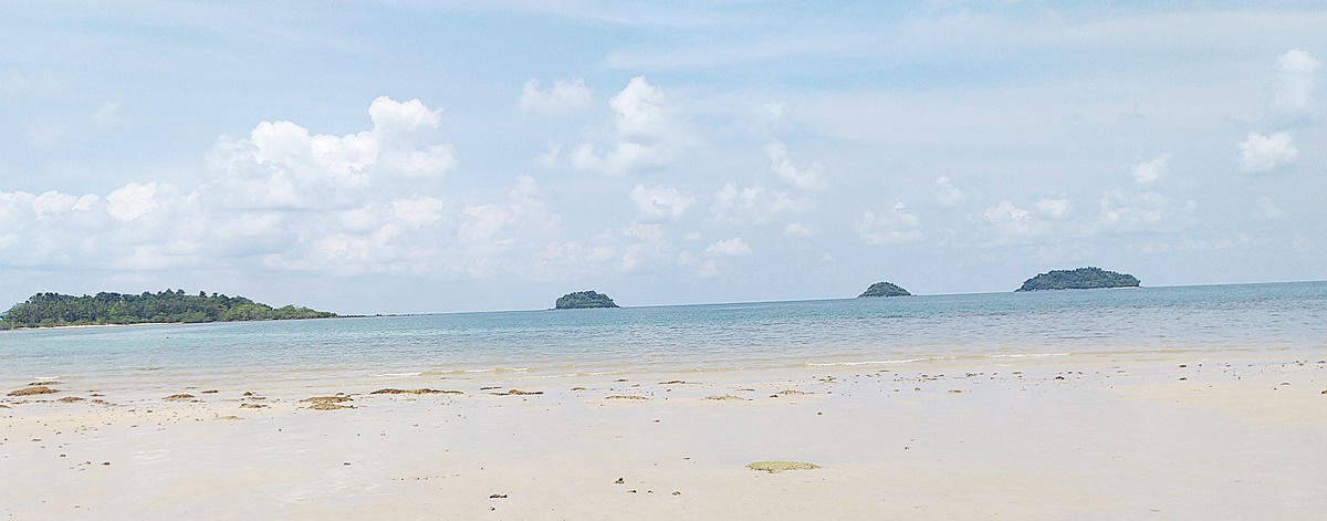 20190410_113034.jpg