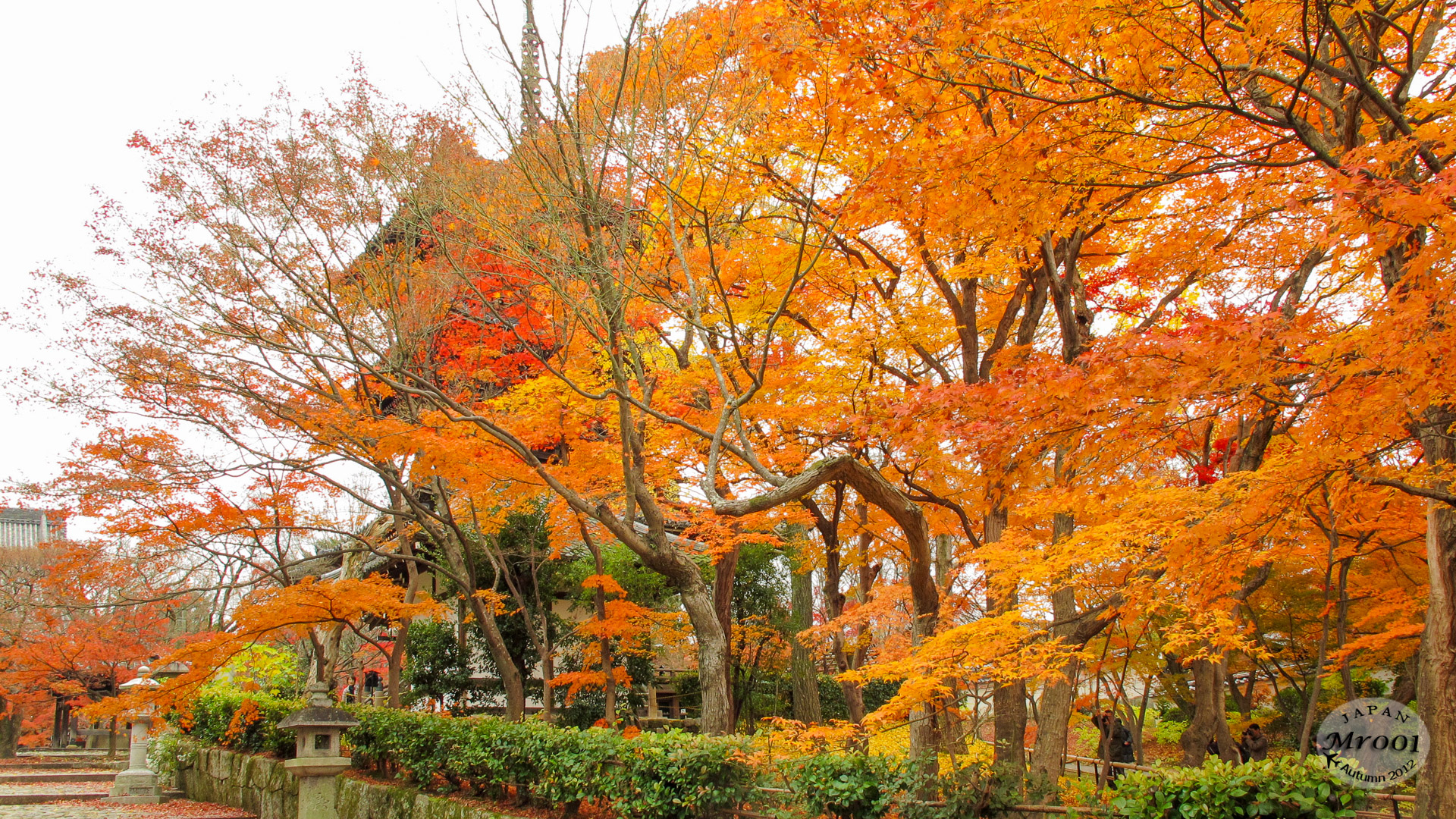 Shinnyodo-4.jpg